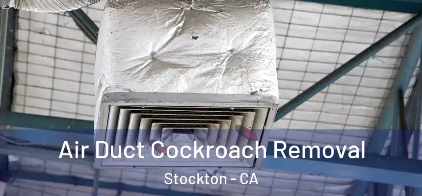  Air Duct Cockroach Removal Stockton - CA