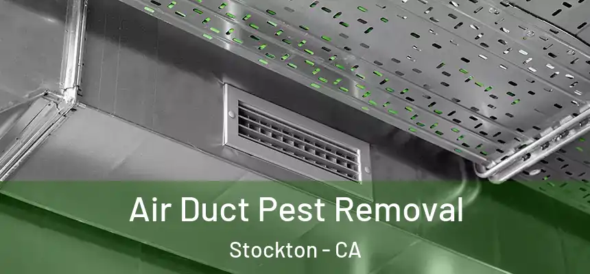 Air Duct Pest Removal Stockton - CA