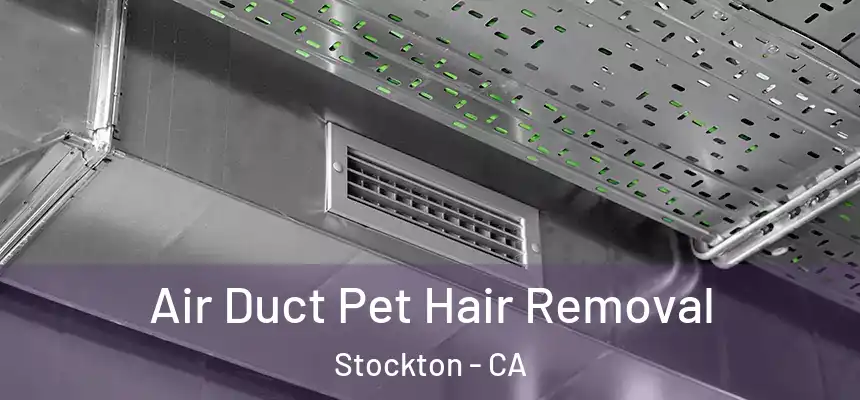  Air Duct Pet Hair Removal Stockton - CA