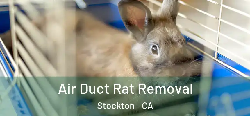 Air Duct Rat Removal Stockton - CA