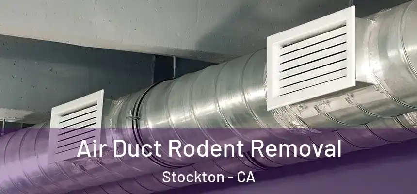 Air Duct Rodent Removal Stockton - CA