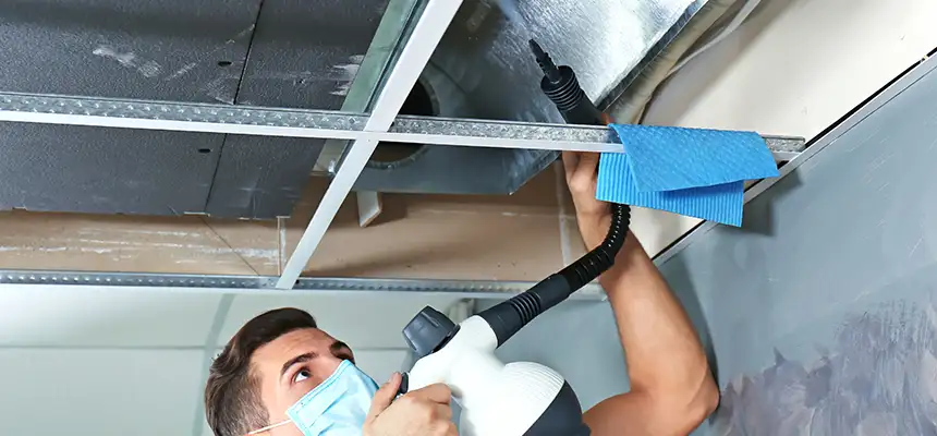 Our Air Duct Rodent Removal Services in Stockton, CA