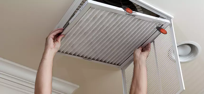 Our Insect Removal from Air Ducts Services in Stockton, CA