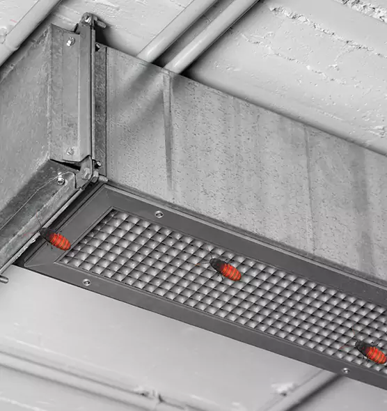 About Air Duct Cockroach Removal in Stockton, CA