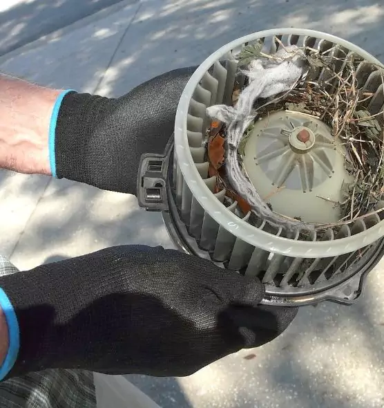 About Air Duct Rat Removal in Stockton, CA