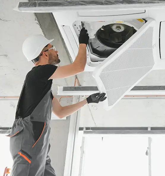 About Air Duct Rodent Removal in Stockton, CA