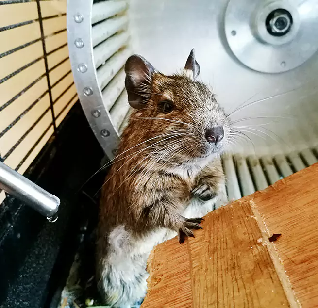 Why Homeowners & Businesses Trust Us Stockton, CA