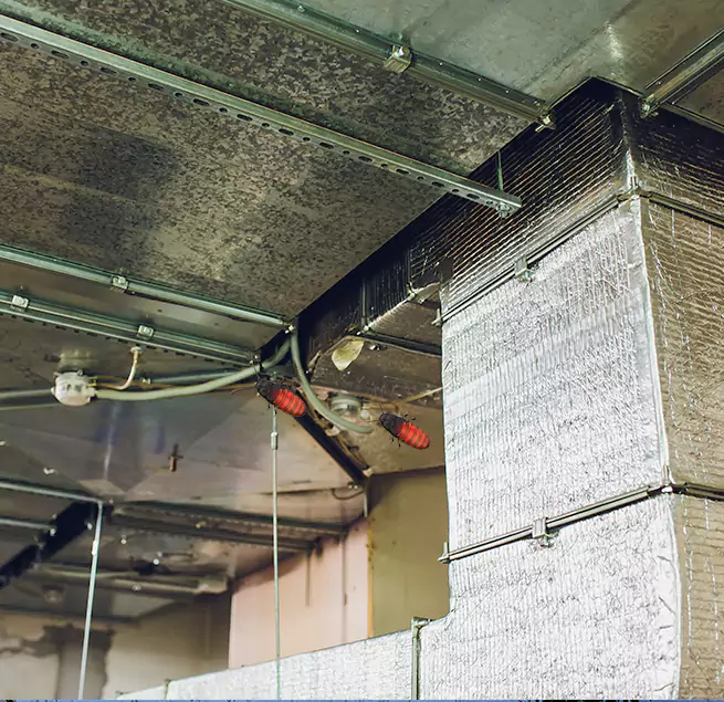 Why Homeowners & Businesses Trust Us Stockton, CA?